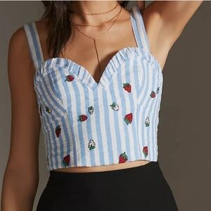 Anthropologie Blue and White Ruffled Bustier Crop Top
